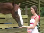 Niña alimentando a caballo